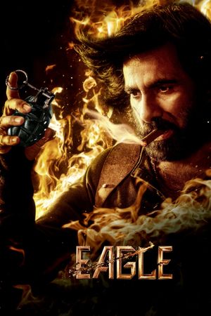 Eagle's poster