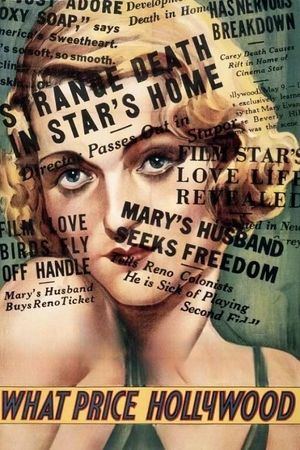 What Price Hollywood?'s poster
