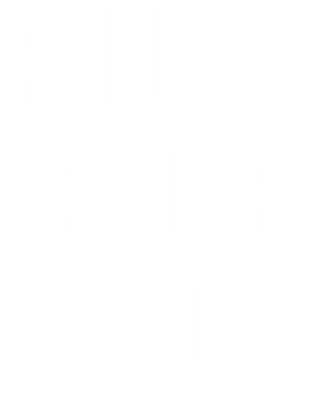 Blues Brothers 2000's poster