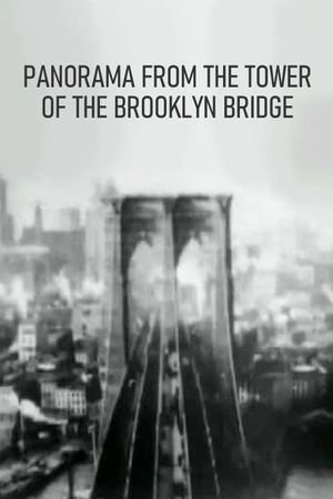 Panorama from the Tower of the Brooklyn Bridge's poster