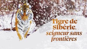 Siberian Tiger, The Secret Kingdom's poster