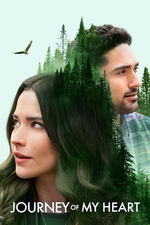 Journey of My Heart's poster