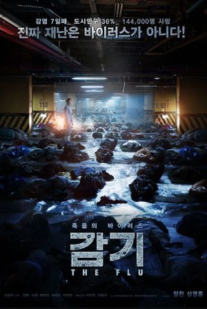 Flu's poster