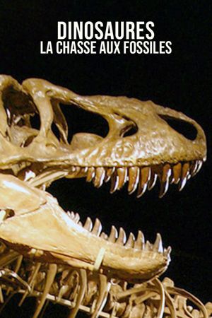 Dinosaurs, the hunt for fossils's poster