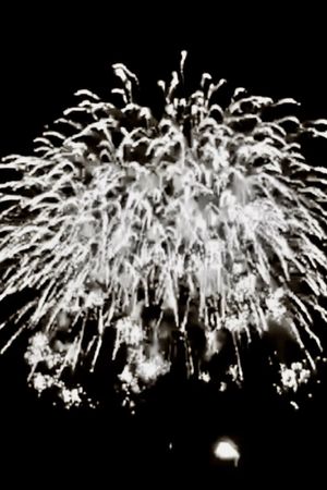 TOKYO FIREWORKS's poster