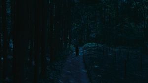 Fatal Frame's poster