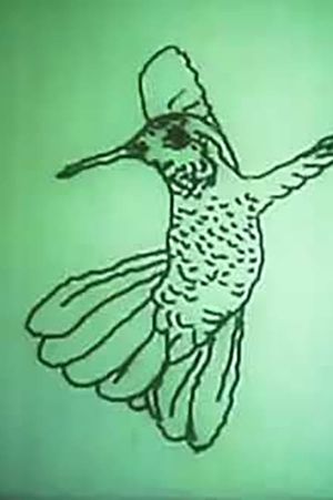 Hummingbird's poster