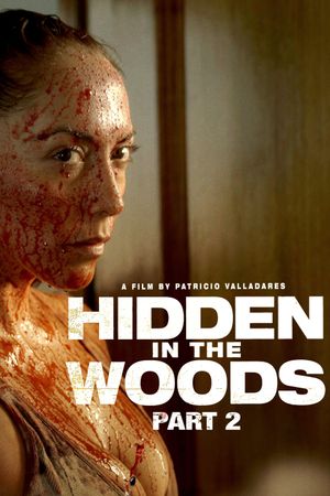 Hidden in the Woods II's poster