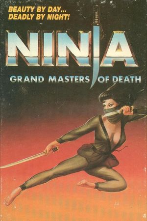 Deadly Life of a Ninja's poster