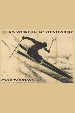 Das Wunder des Schneeschuhs's poster