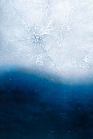 Eternal Sunshine of the Spotless Mind's poster