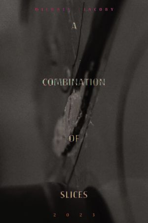 A Combination Of Slices's poster