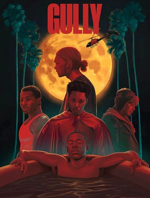 Gully's poster