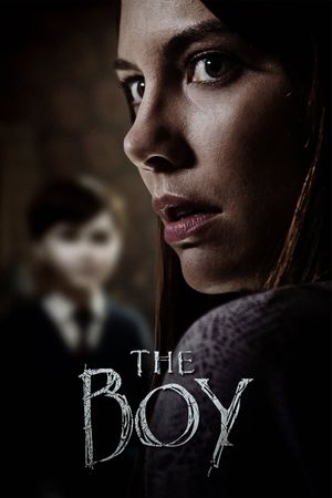 The Boy's poster