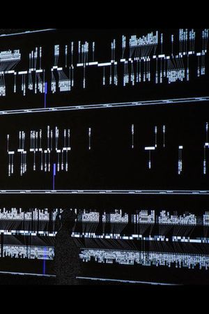 data-verse 2's poster