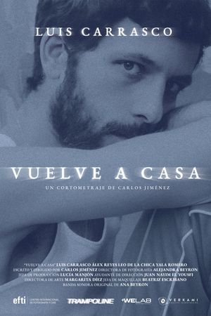 Vuelve a casa's poster image