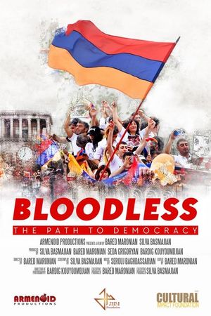 Bloodless: The Path to Democracy's poster image