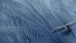 Arctic's poster