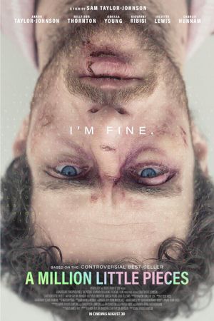 A Million Little Pieces's poster