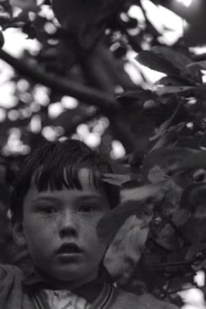 An Untitled Film's poster