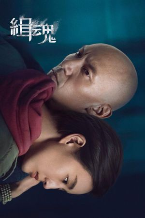 The Soul's poster
