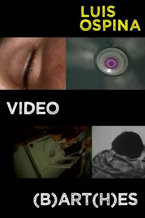 Video (B)art(h)es's poster