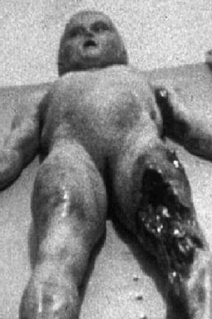 The Alien Autopsy's poster image