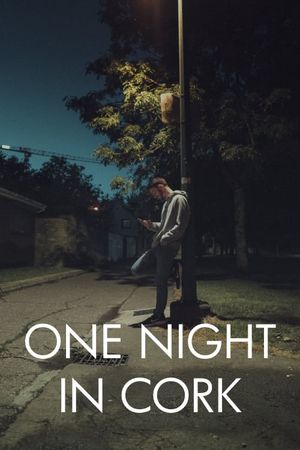 One Night in Cork's poster