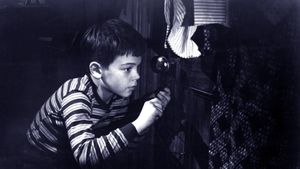 The Window's poster
