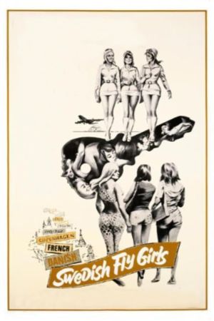 Swedish Fly Girls's poster