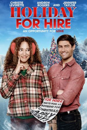 Holiday for Hire's poster