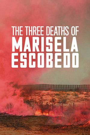 The Three Deaths of Marisela Escobedo's poster