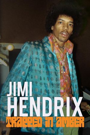 Jimi Hendrix: Trapped in Amber's poster
