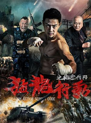 Dragon Action: Secret Code's poster image