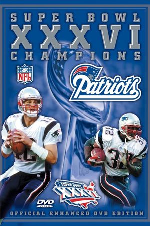 2001 New England Patriots - Super Bowl XXXVI Champions's poster