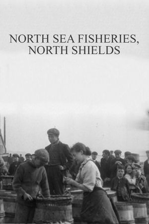 North Sea Fisheries, North Shields's poster