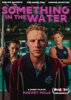 Something In The Water's poster
