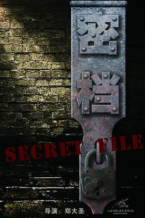 Secret File's poster