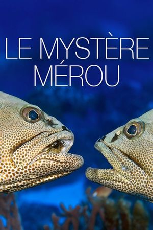 The Grouper Mystery's poster