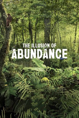 The Illusion of Abundance's poster