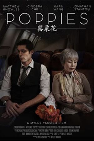 Poppies's poster
