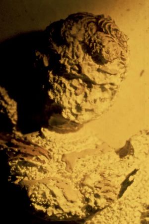 Niño monaguillo y sus pecados's poster image