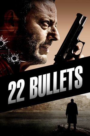 22 Bullets's poster