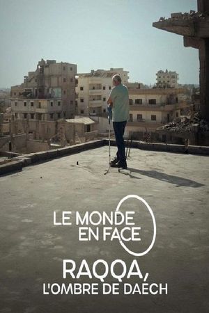 Raqqa. Después del ISIS's poster