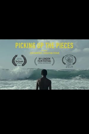 Picking Up the Pieces's poster image