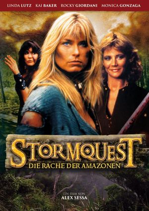 Stormquest's poster