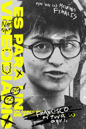 Es Para Un Videodiario's poster