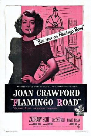 Flamingo Road's poster