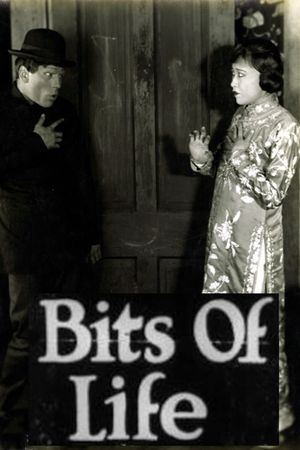 Bits of Life's poster