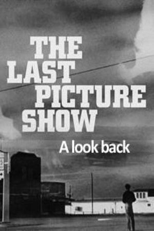 The Last Picture Show: A Look Back's poster